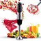 SKUSHOPS Hand Held Blender Stick 500 WATT Immersion 2 Speed Turbo Mixer 2 Titanium Blades